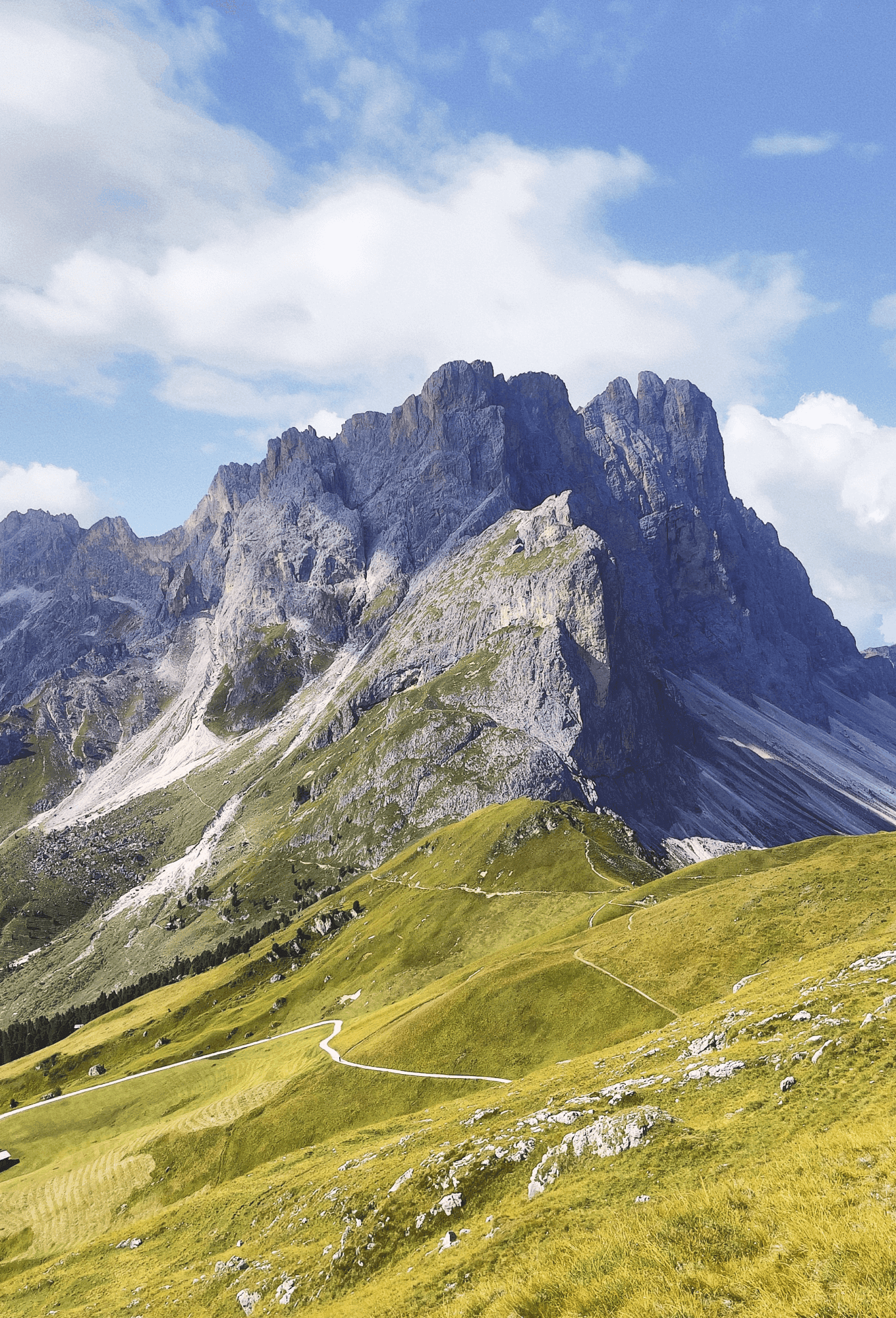 Alpine landscape with forests and mountain paths in the Dolomites
